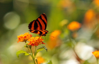 Similar image 13051853