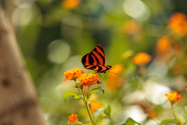 Similar image 13051854