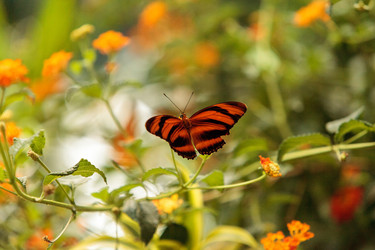 Similar image 13051870