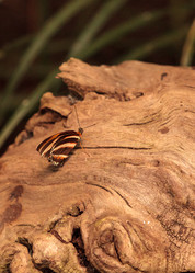 Similar image 13051873