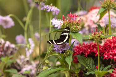 Similar image 13051912