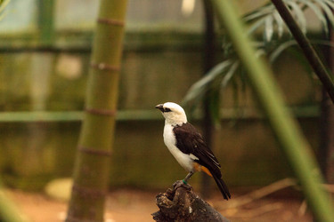 Similar image 13051915