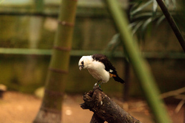 Similar image 13051916