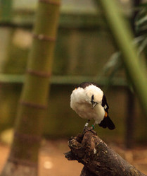 Similar image 13051933