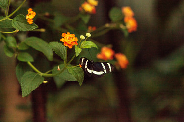 Similar image 13051934