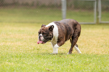 Similar image 13002491