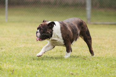 Similar image 13002492