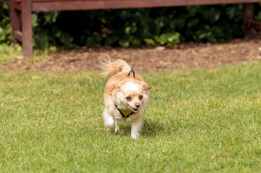 Similar image 13051954