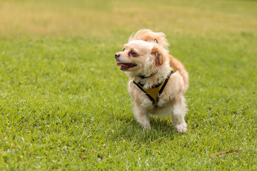 Similar image 13051966