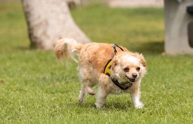 Similar image 13051967