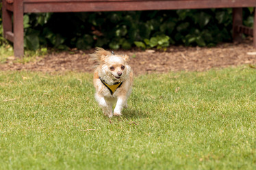 Similar image 13052030