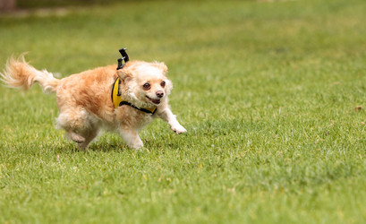 Similar image 13052031