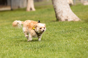 Similar image 13052032