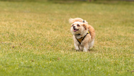 Similar image 13052050