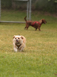 Similar image 13052051