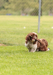 Similar image 13052090