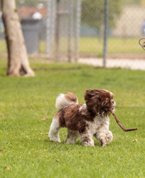 Similar image 13052091