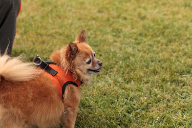 Similar image 13052161