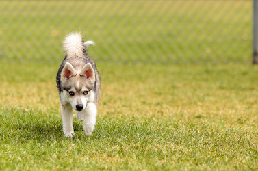 Similar image 13052179