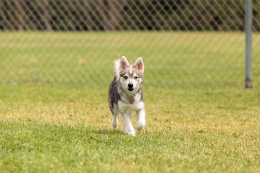 Similar image 13052067