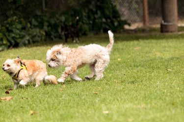 Similar image 13051796