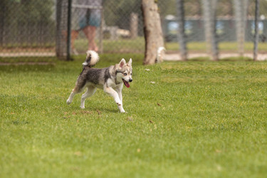 Similar image 13051798