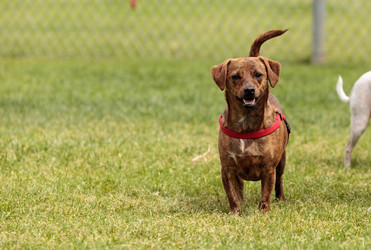 Similar image 13051764