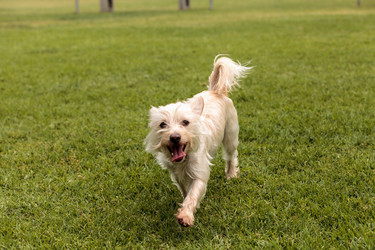 Similar image 13051743