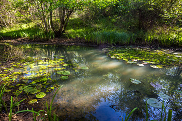 Similar image 13061640