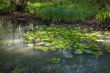 Similar image 13061676