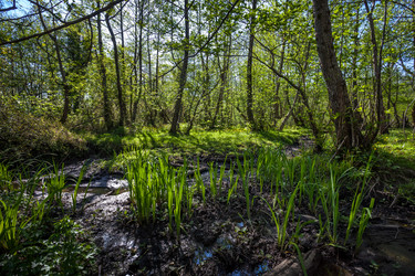 Similar image 13061679