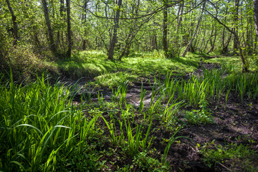 Similar image 13062179