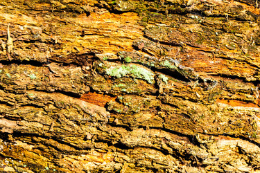 Similar image 13002099