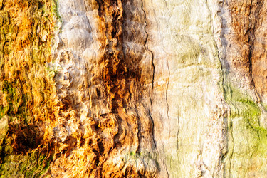 Similar image 13002100