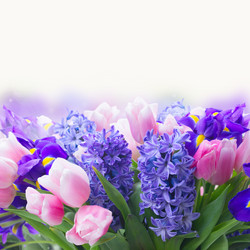 Similar image 13023427