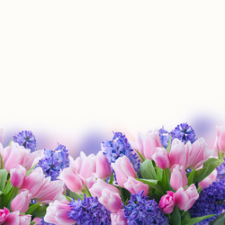 Similar image 13023445