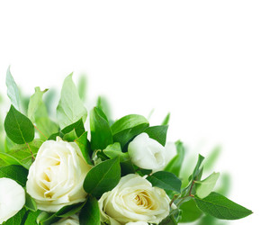 Similar image 13023587