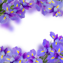 Similar image 13038636