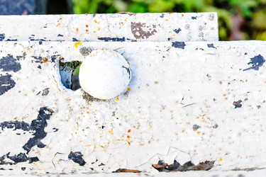 Similar image 13002125