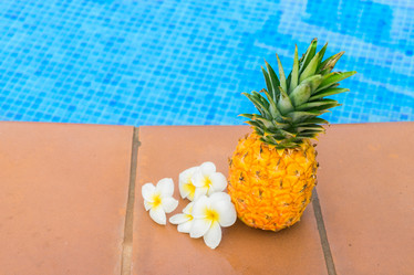 Similar image 13023507