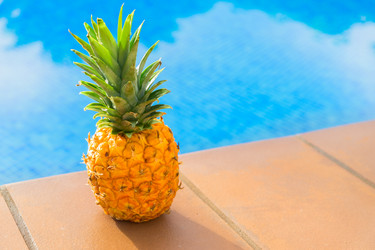 Similar image 13023606