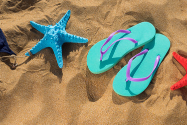 Similar image 13023646