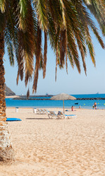 Similar image 13039249