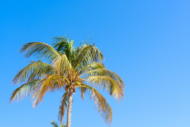 Similar image 13038449