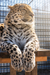 Similar image 13036030