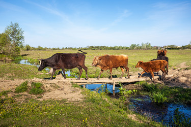 Similar image 13062169