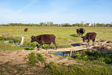 Similar image 13062170