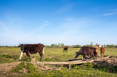 Similar image 13062172