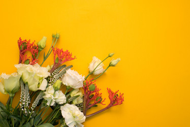 Similar image 13003580