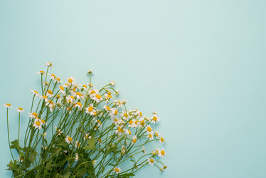 Similar image 13003581